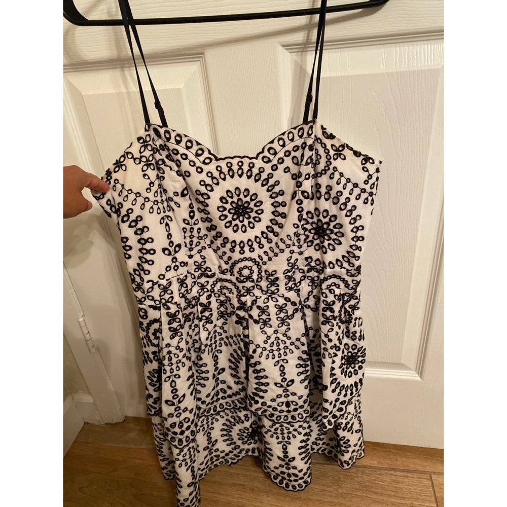 Express Embroidered Lace Dress